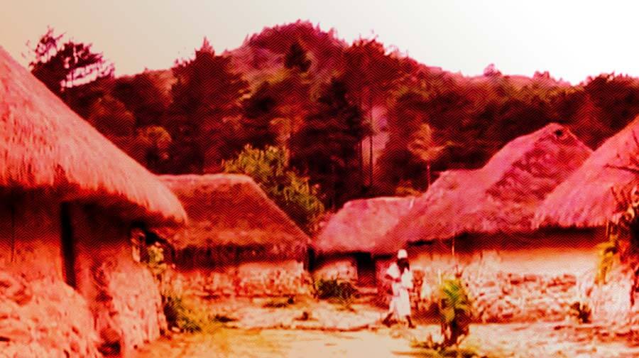 Televisión Indígena