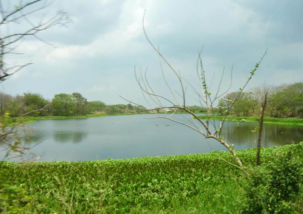 Televisión indígena: becas estímulos a la producción