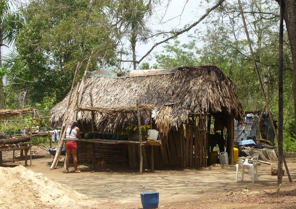 Televisión indígena: becas estímulos a la producción