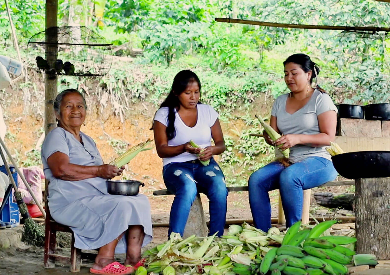 Televisión indígena: becas estímulos a la producción