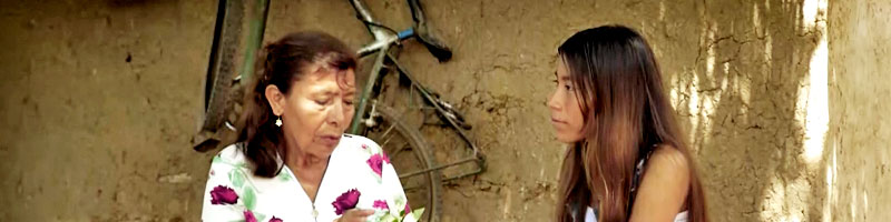 Escuelas propias y procesos de formación en comunicación indígena